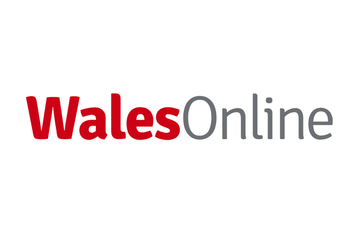 WalesOnline logo